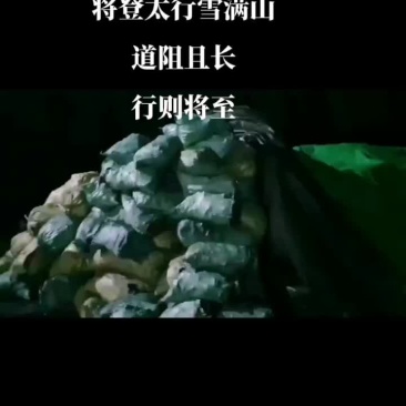 老挝工业木炭