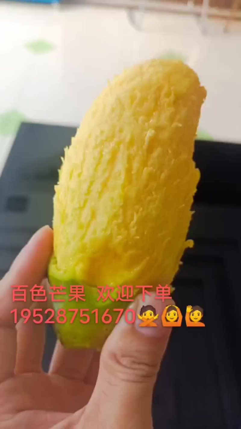 广西百色芒果