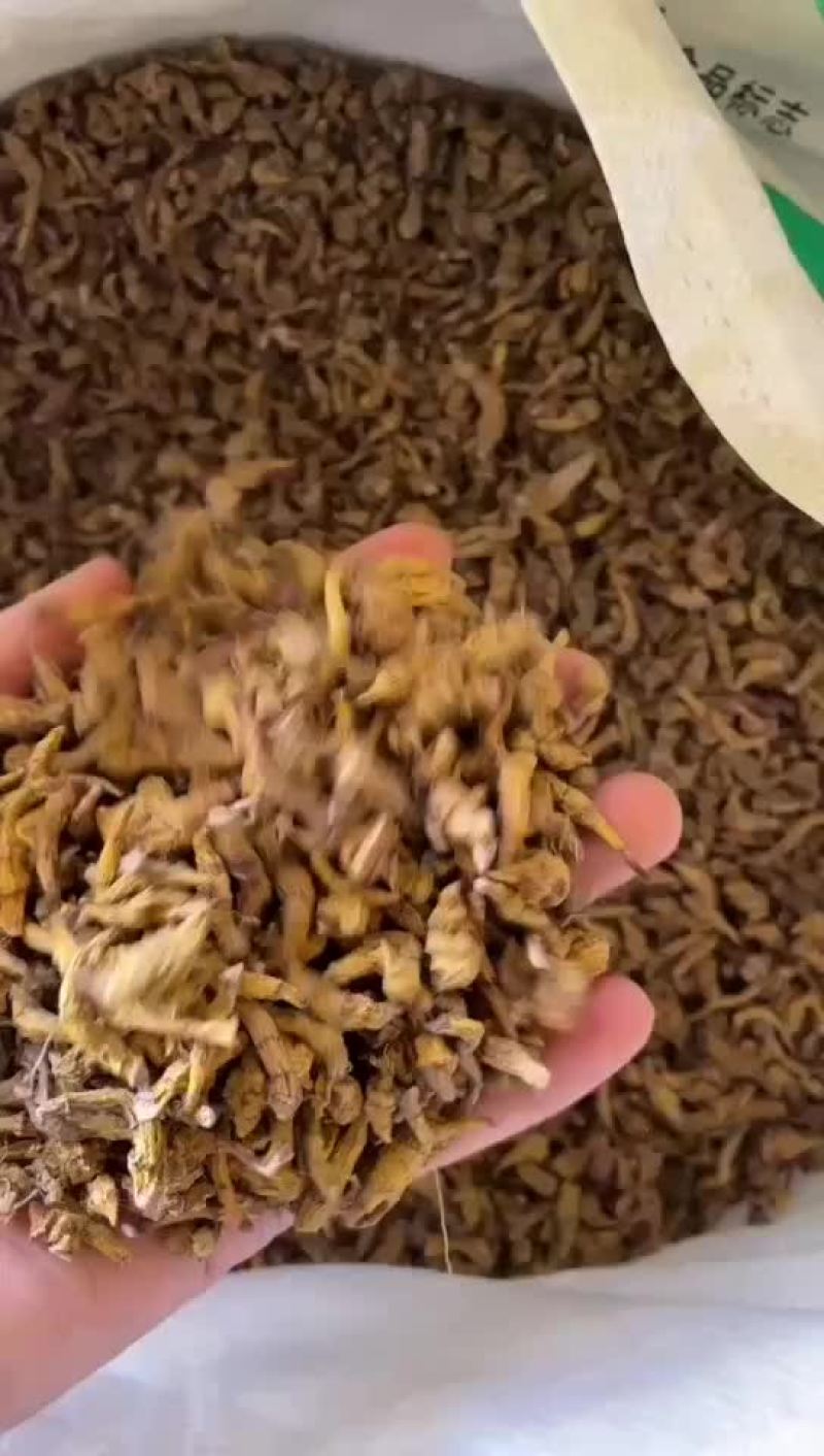 虎牙丁条