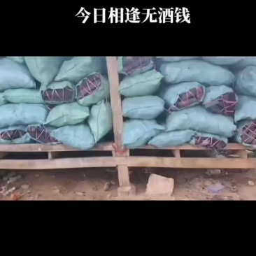 老挝工业木炭#河口口岸