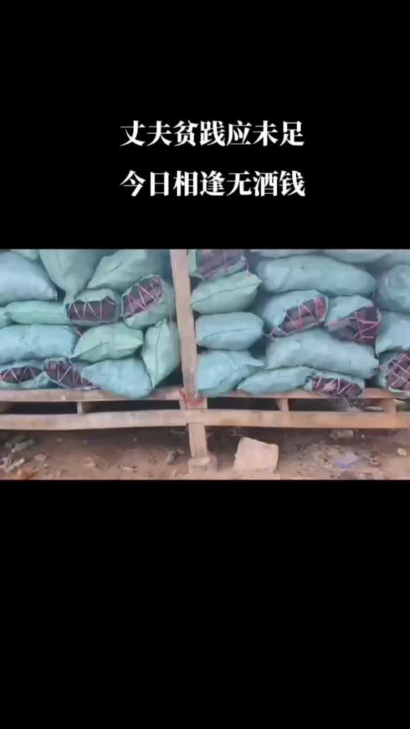 老挝工业木炭#河口口岸