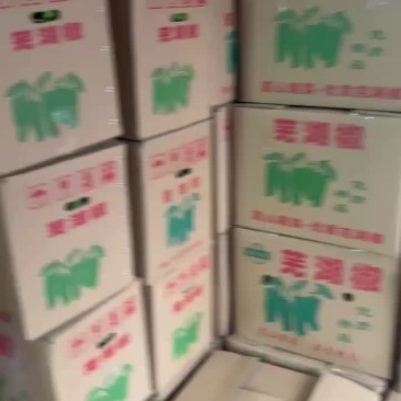 金优新优8号线椒3号线椒都有货需要的老板可联系产地直供clo