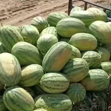西瓜