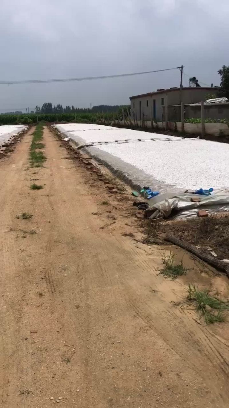 常年供应马铃薯淀粉，红薯淀粉