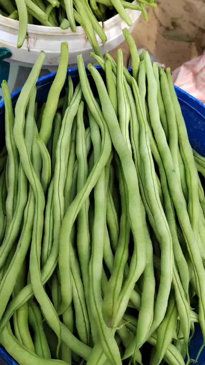 豆王白无丝