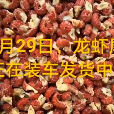 龙虾尾
