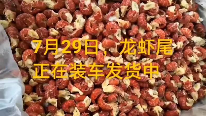 龙虾尾