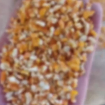常年现货供应碎玉米碎小麦豆粕碎大豆酒糟胚芽粉