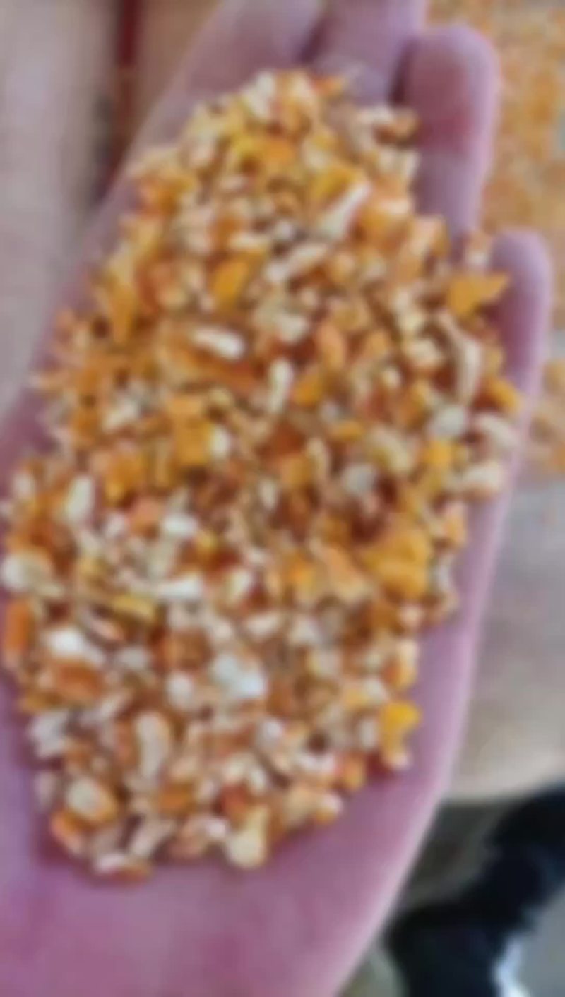 常年现货供应碎玉米碎小麦豆粕碎大豆酒糟胚芽粉