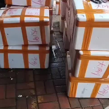 小龙虾