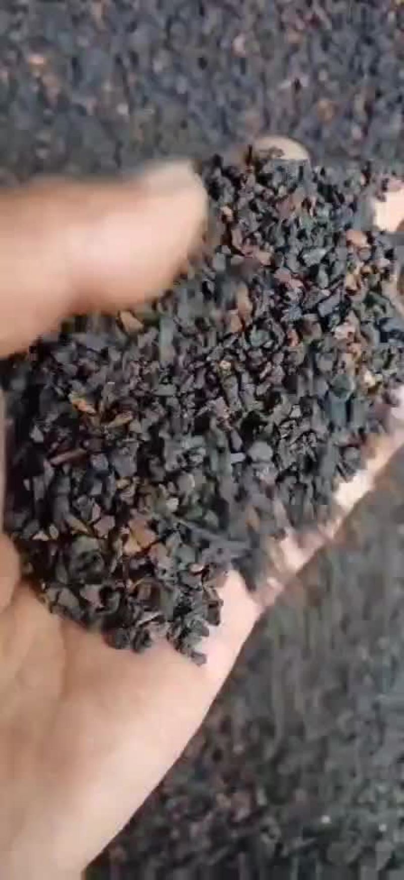 桦树茸黑金颗粒，纯俄货，质量上乘