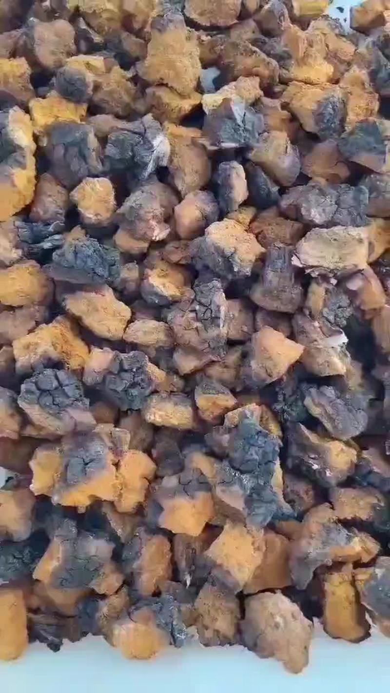桦树茸切块，块块黑皮，纯俄货