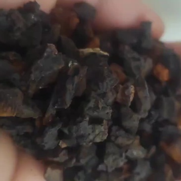 桦树茸黑金颗粒，质量好，价格低