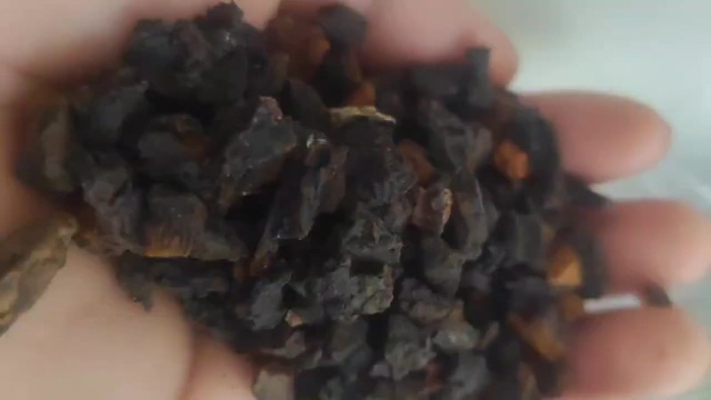 桦树茸黑金颗粒，质量好，价格低