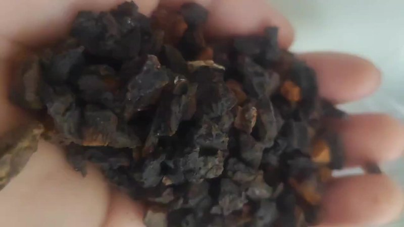 桦树茸黑金颗粒，质量好，价格低