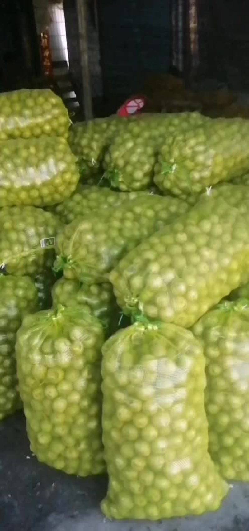 青皮核桃
