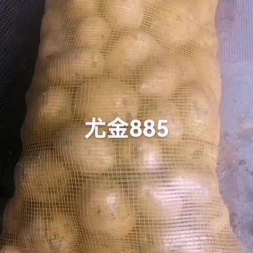 尤金885