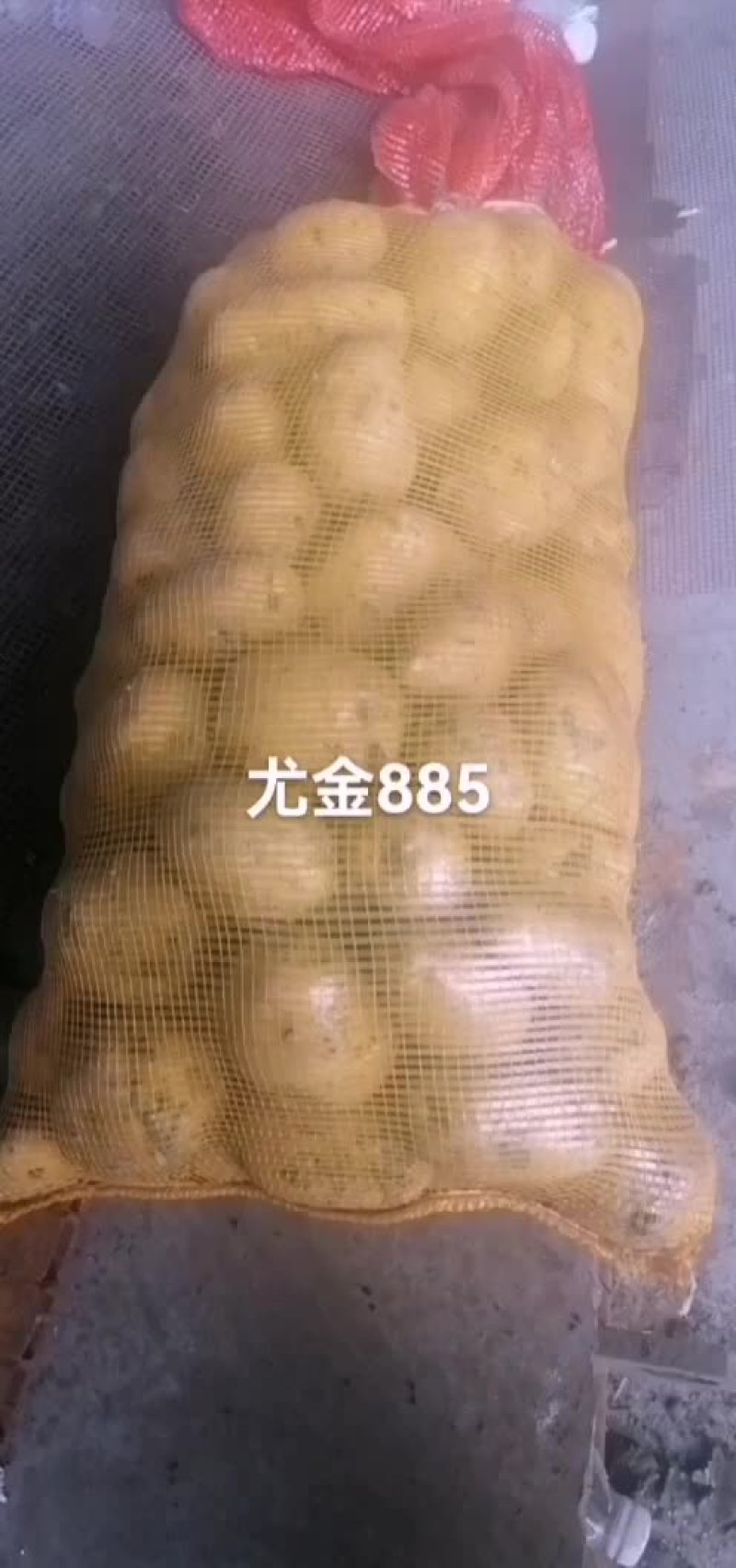 尤金885