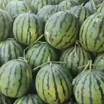 西瓜！