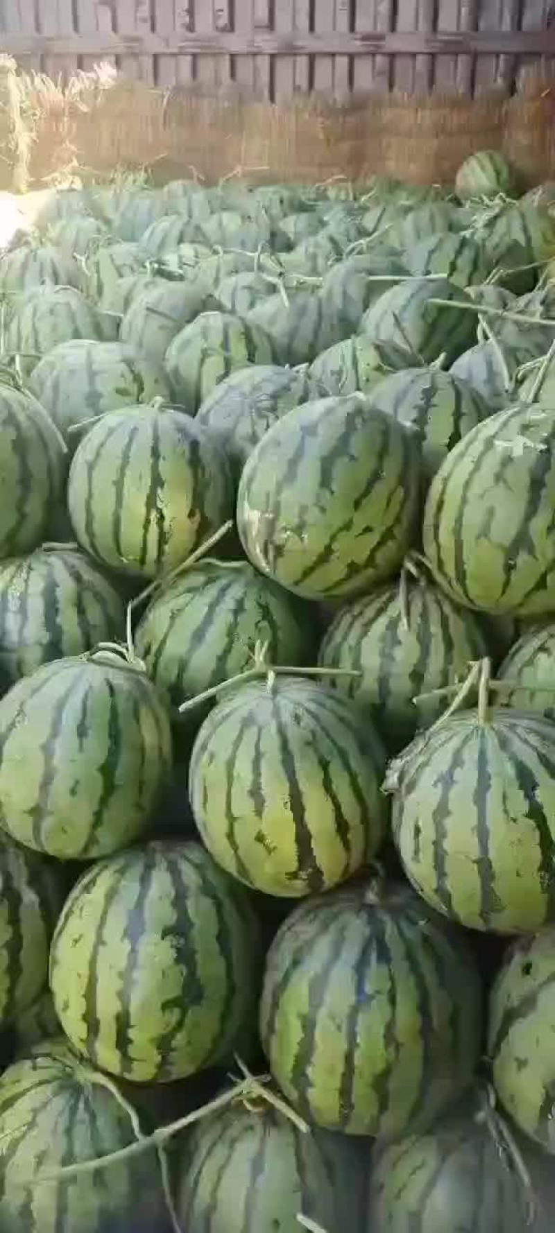 西瓜！