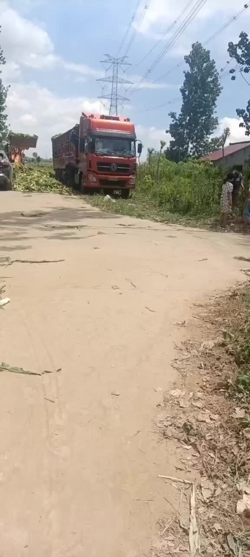 水果玉米