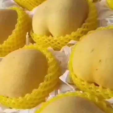 黄桃