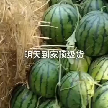 吉林西瓜