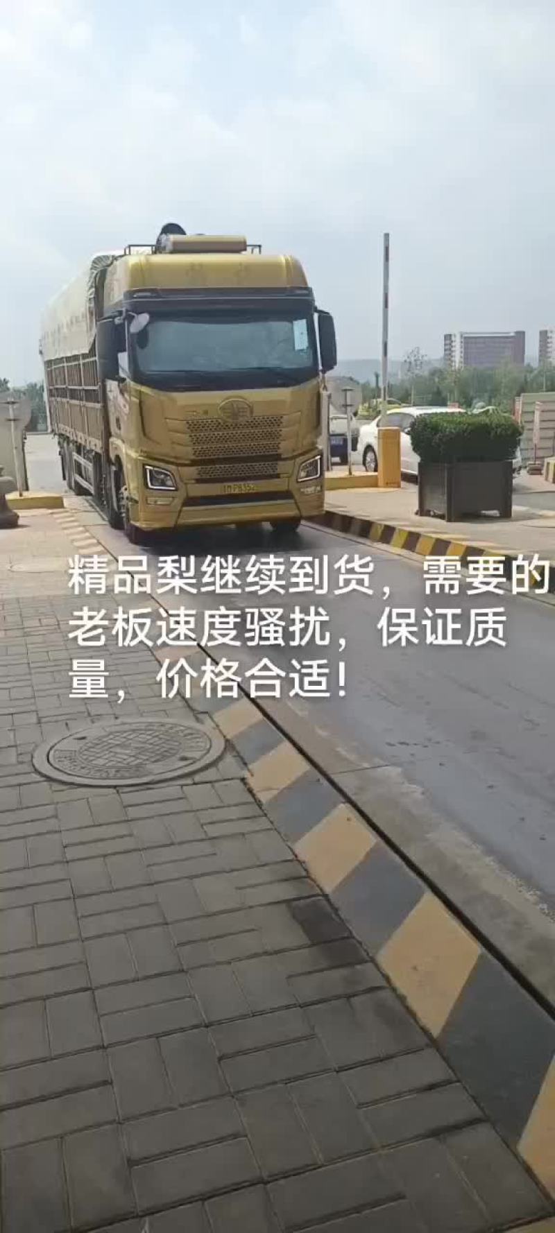 精品香蕉梨，精品货，大中小货都有！