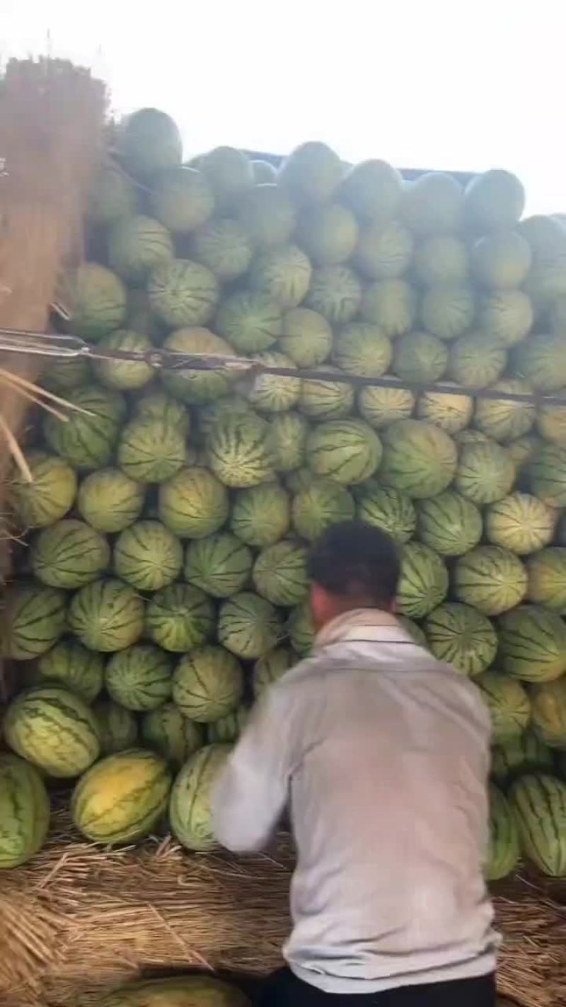 陕北二茬西瓜需要的老板请联系