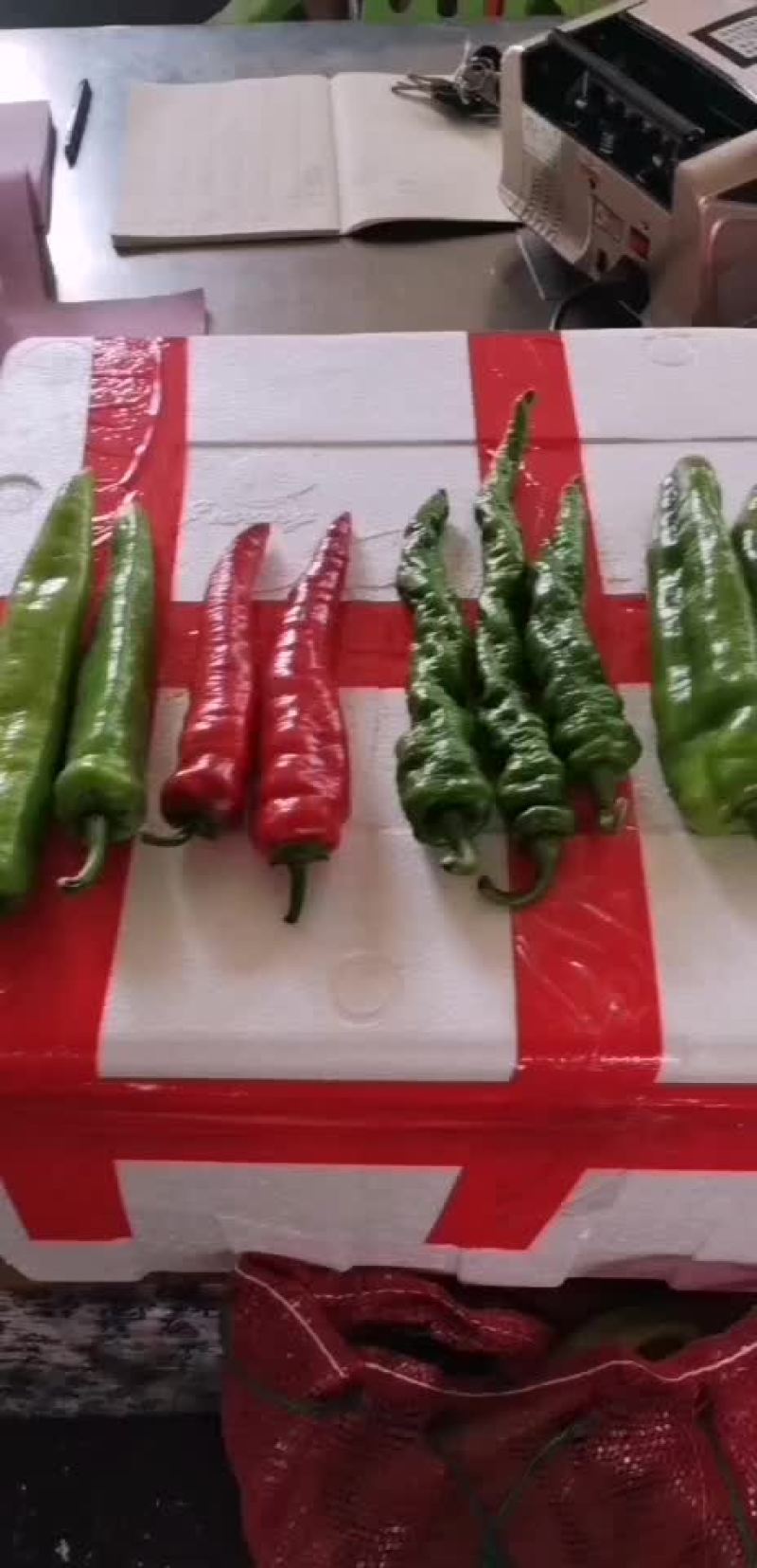 广州江南批发专业代卖各种蔬菜