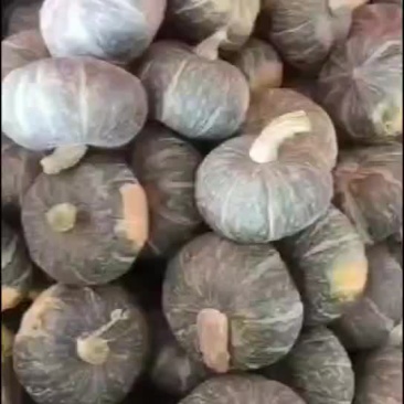 陕北板栗南瓜口感纯正