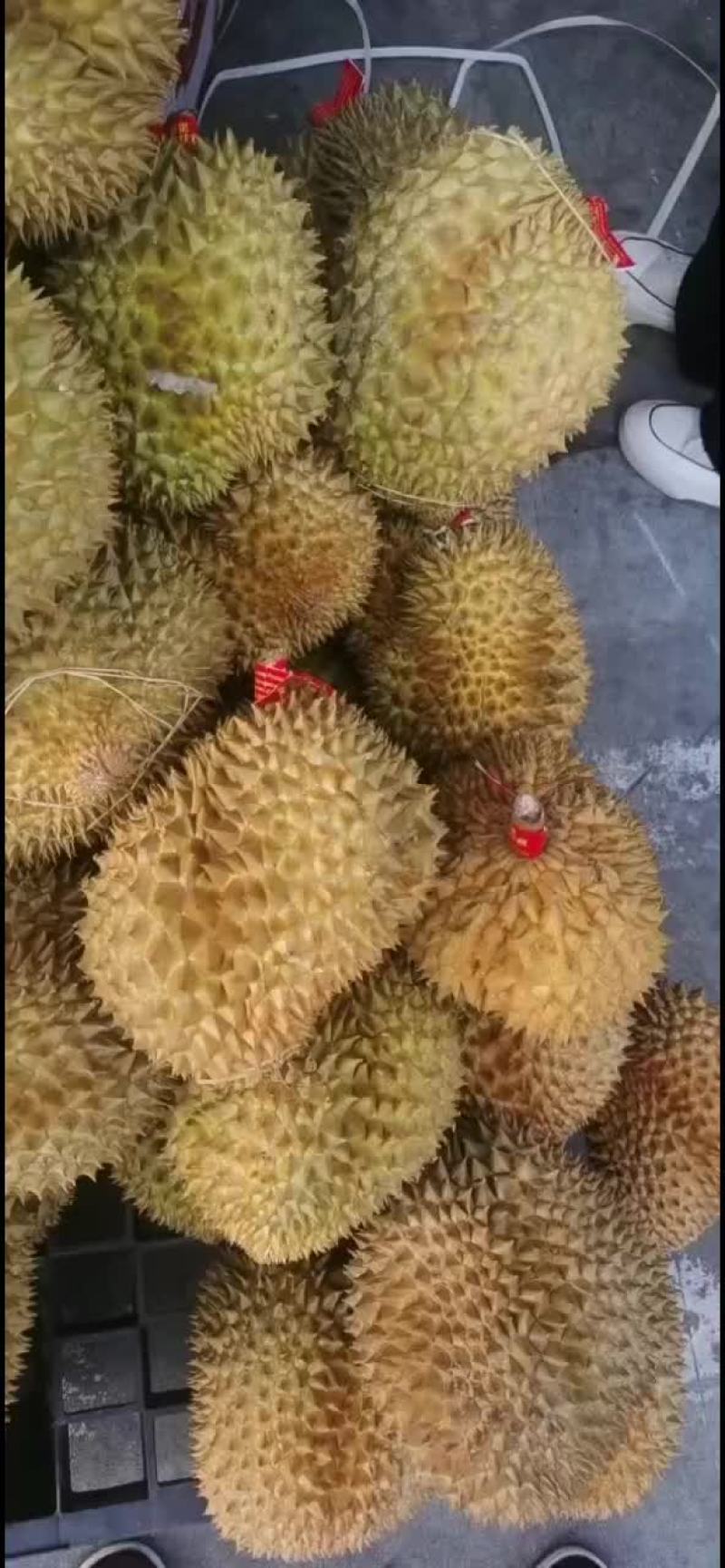 泰国金枕榴莲