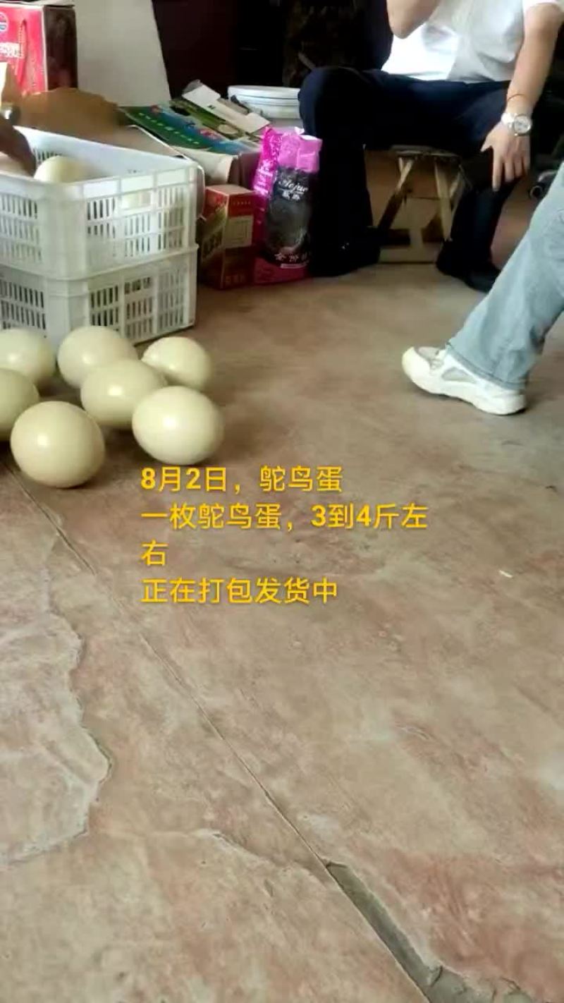 鸵鸟蛋