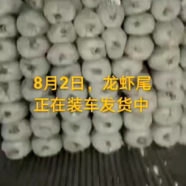 龙虾尾
