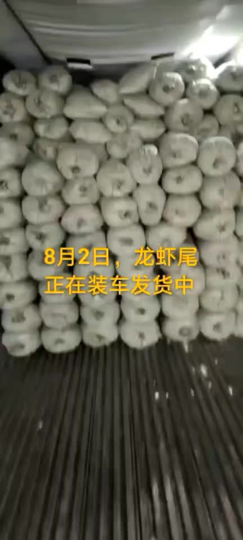 龙虾尾