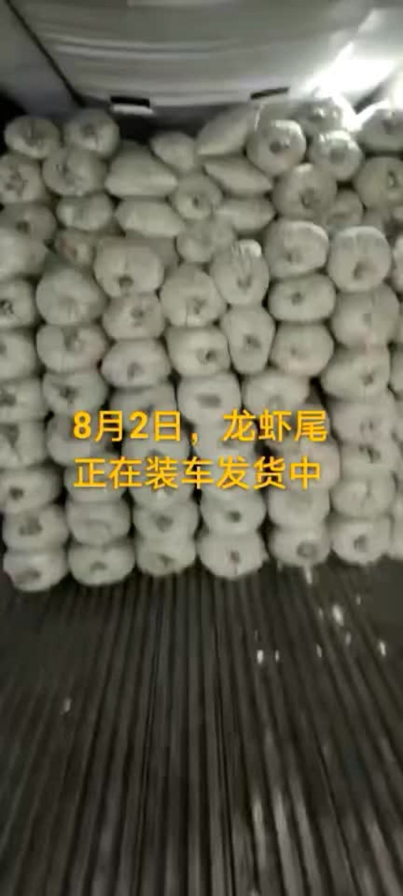 龙虾尾