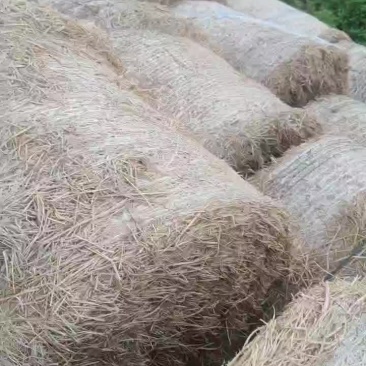 精品牧草类原料