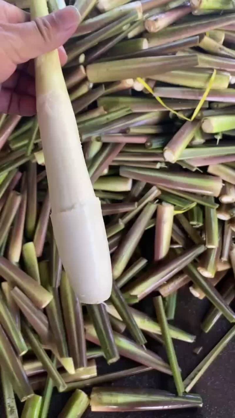 精品川茭白