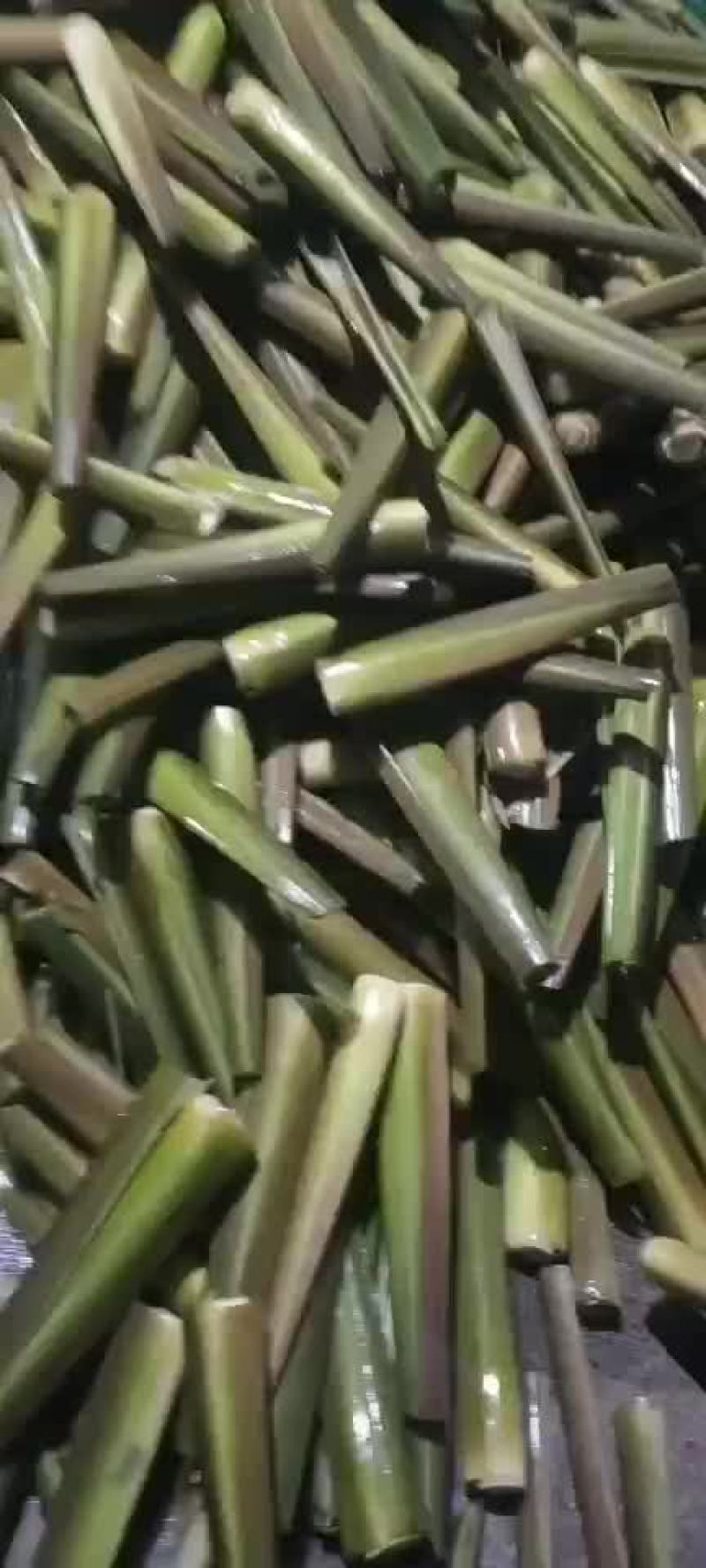 精品川茭白