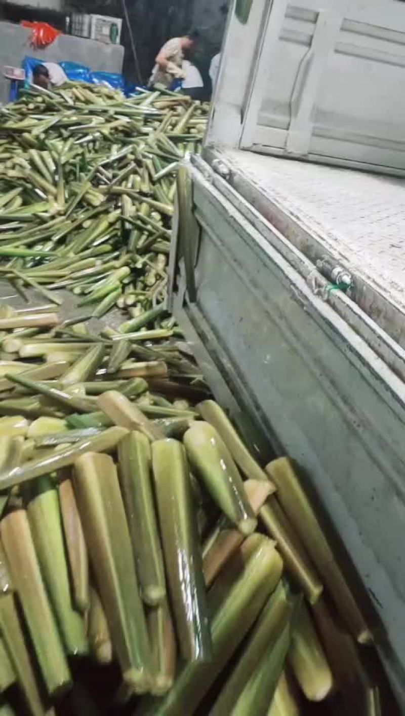 精品川茭白