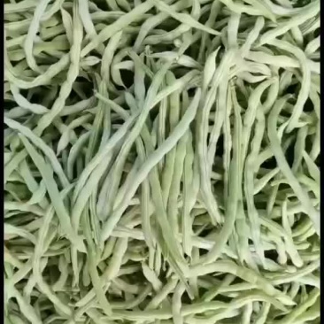精品白不老