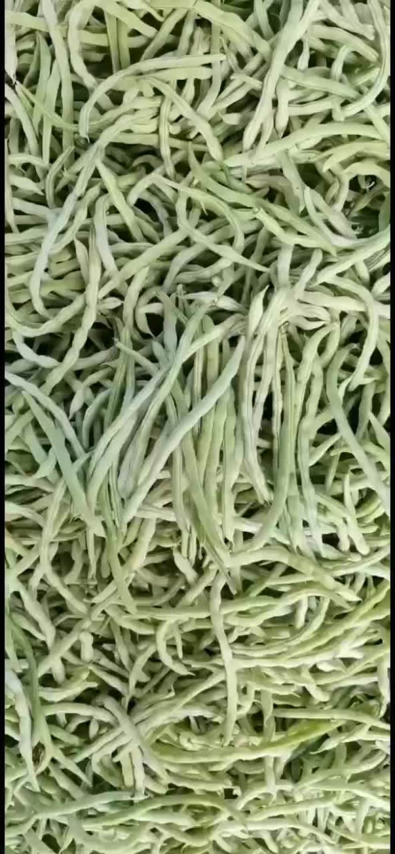 精品白不老