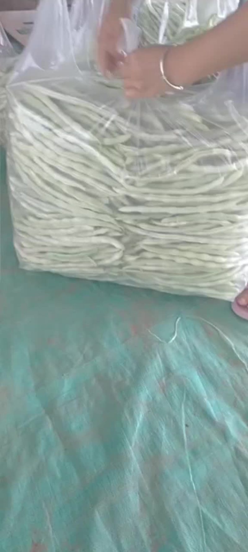 精品白不老