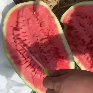 西瓜
