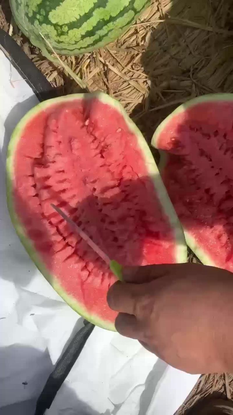 西瓜