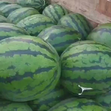 西瓜