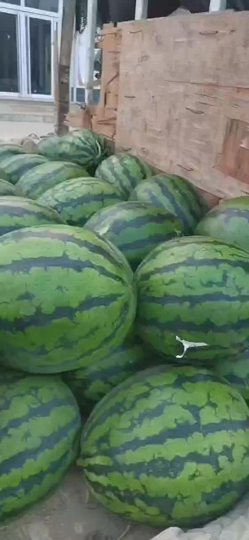 西瓜