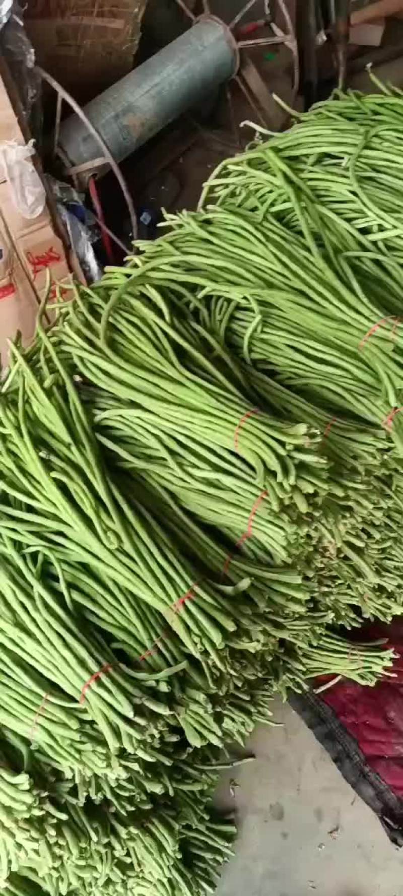 豇豆