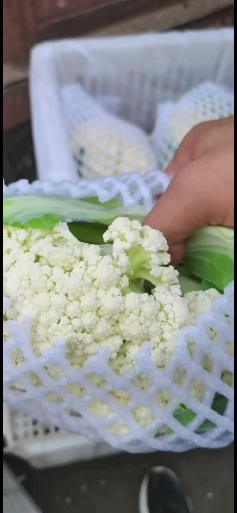 有机花