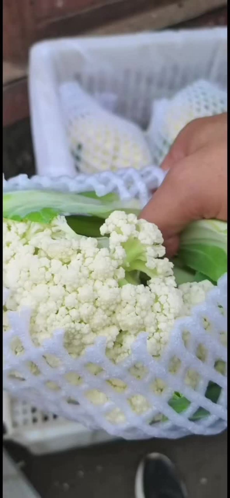 有机花